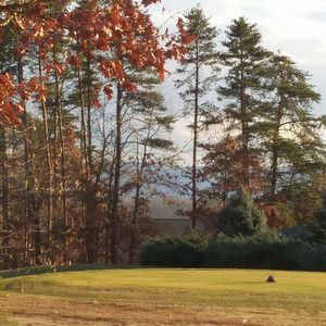 Meet your Posher, Janice